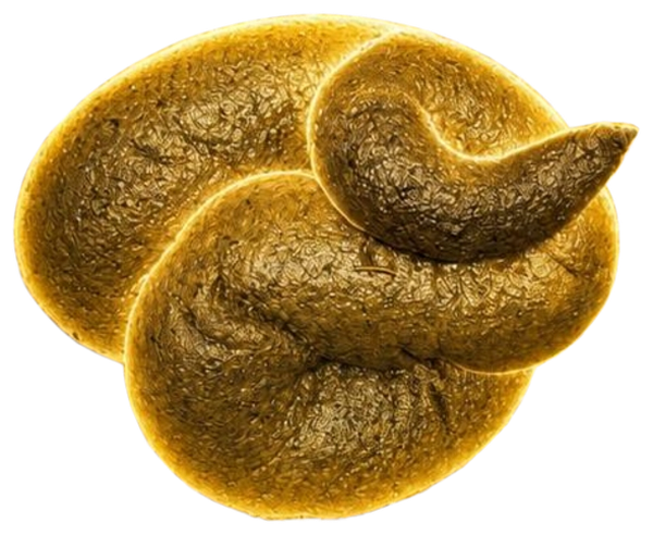 Pooppa, a golden coil-form relic glowing from within